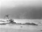 dailyPhoto9
